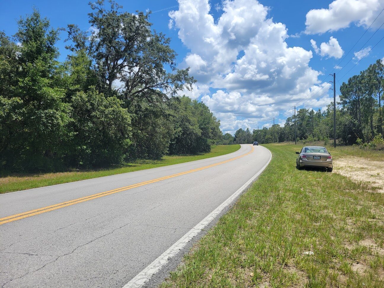 Quiet two-lane country road winding through wooded Citrus Springs.