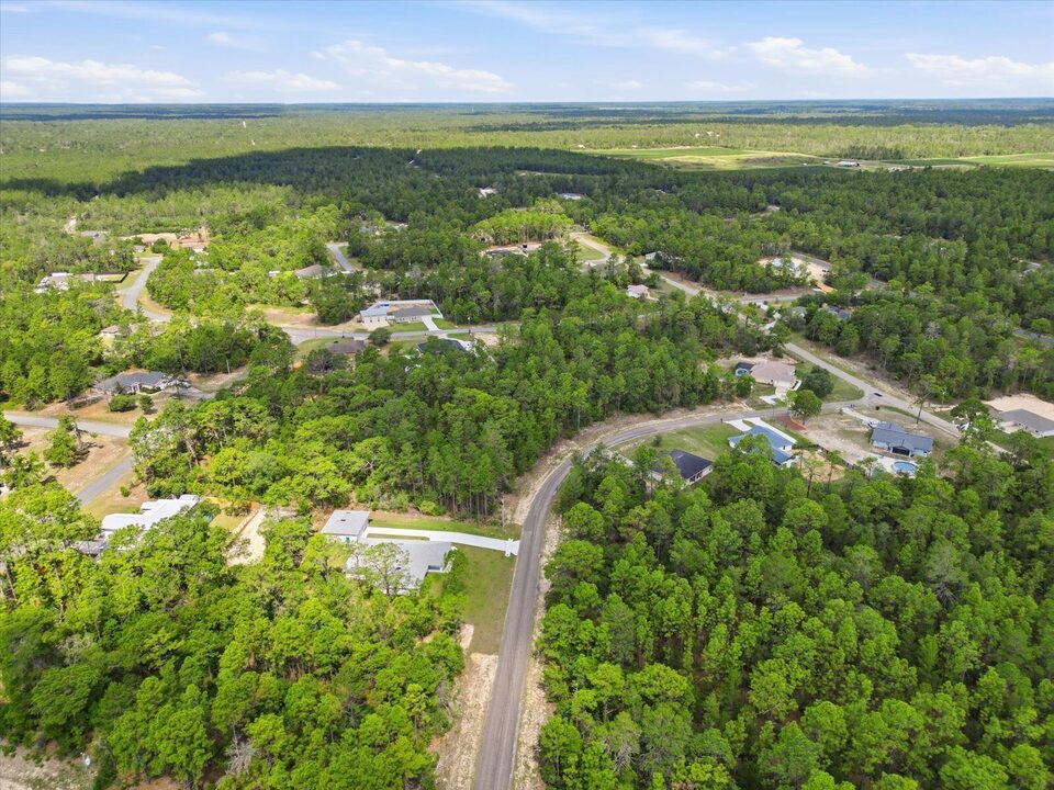 Aerial view of a Citrus Springs neighborhood with homes scattered through heavy tree cover and forested horizon.