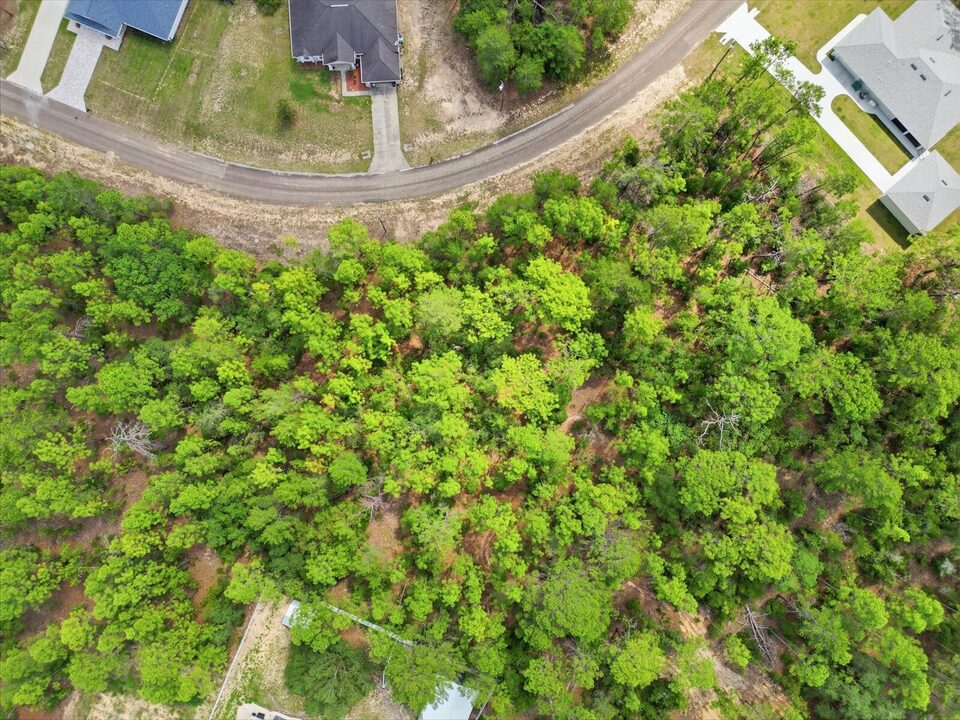 Aerial view of a wooded Citrus Springs homesite framed by neighboring homes and a quiet residential road.
