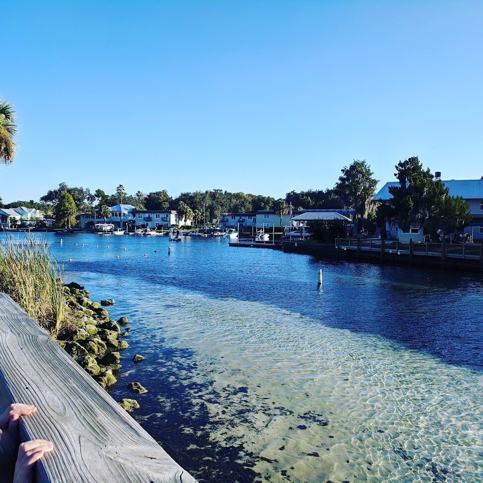 Clear shallow spring water flowing past waterfront homes along Hunter Springs in Crystal River.