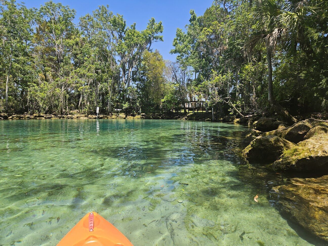 Kayak drifting on the clear turquoise water of Three Sisters Springs in Crystal River.