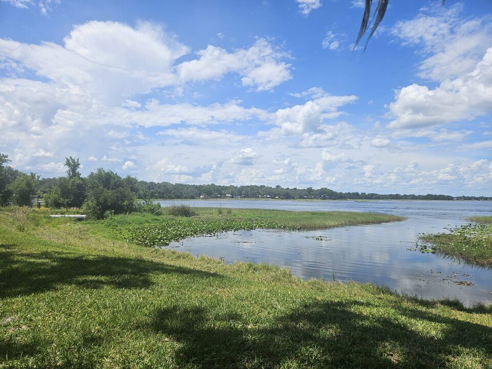 Lake Hernando shoreline with lily pads in the shallows and a grassy bank under a partly cloudy sky.