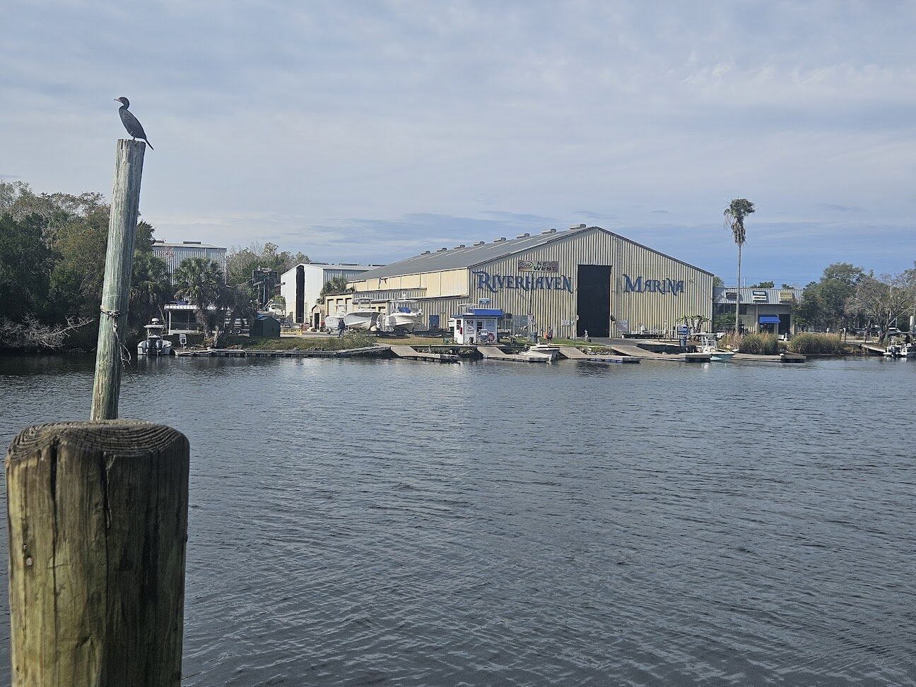 Riverhaven Marina on the Homosassa River with a cormorant perched on a piling in the foreground.