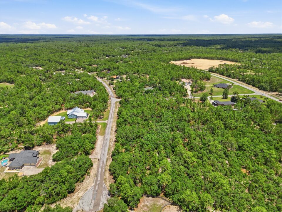 Aerial view of Pine Ridge showing estate homes among pine canopy with a sandy equestrian arena nearby.