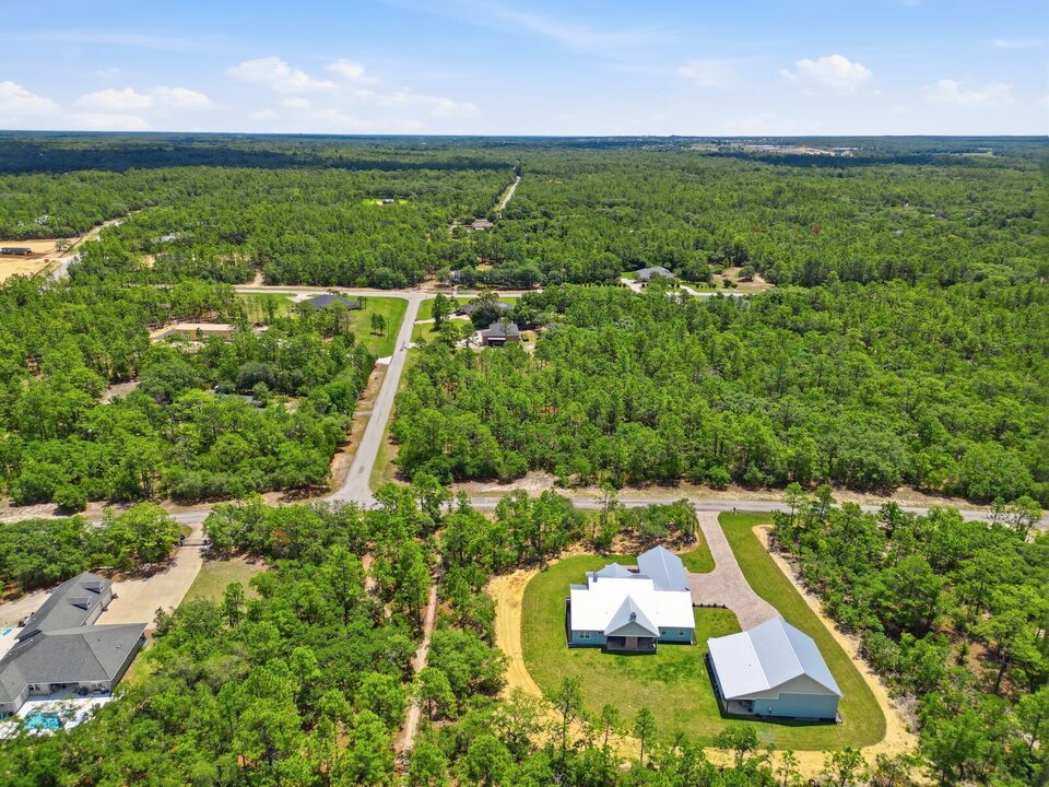 Aerial view of large-lot Pine Ridge homes set among pine and oak canopy along winding rural roads.