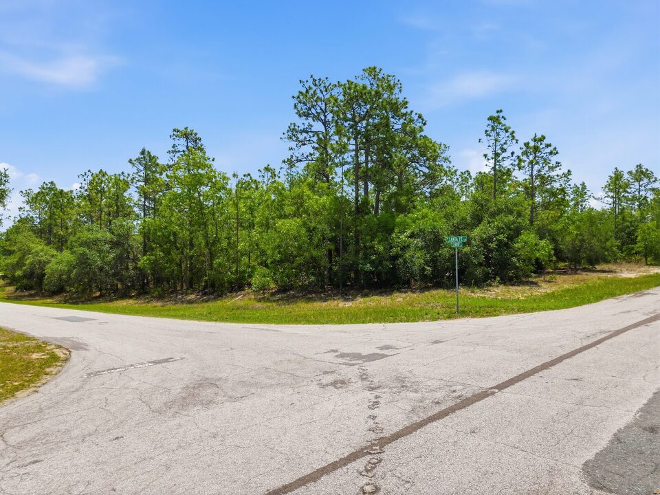 Quiet residential intersection in Pine Ridge bordered by tall pines at the edge of a wooded lot.